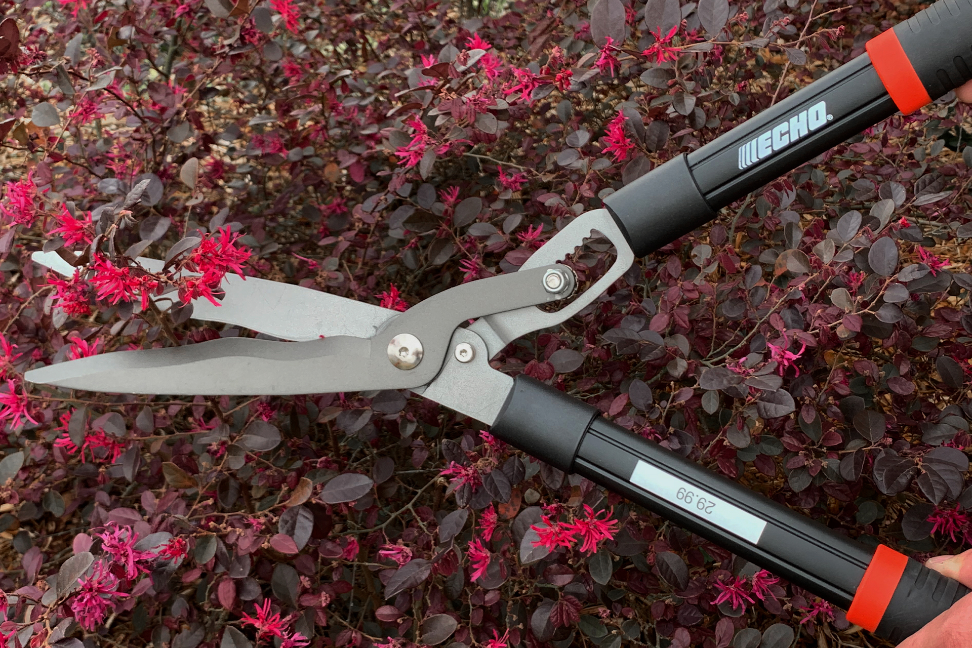 HEDGE SHEARS image