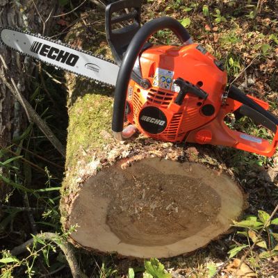 Choosing the Best Chainsaw for Tree Trimming and Removal | ECHO