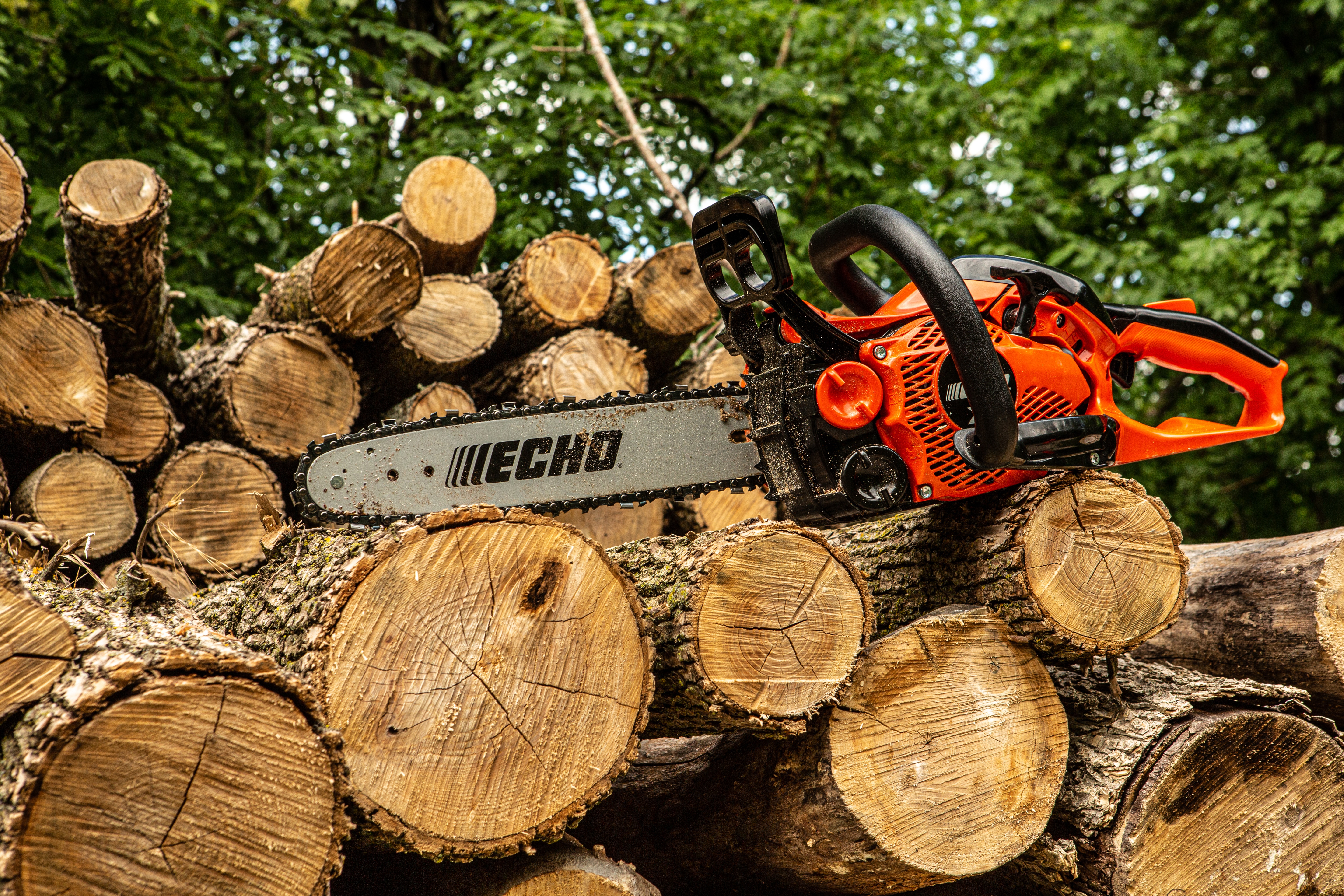 CHAINSAWS image